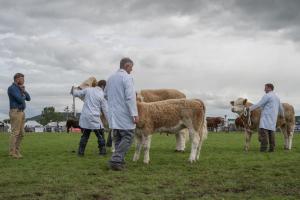 KEITH SHOW 2019 11TH -12TH AUG  IBI KEITH  -434