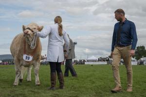 KEITH SHOW 2019 11TH -12TH AUG  IBI KEITH  -436