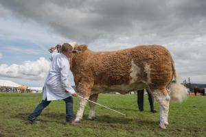 KEITH SHOW 2019 11TH -12TH AUG  IBI KEITH  -437