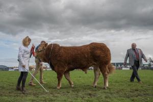 KEITH SHOW 2019 11TH -12TH AUG  IBI KEITH  -438