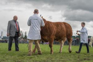 KEITH SHOW 2019 11TH -12TH AUG  IBI KEITH  -439