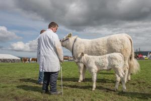 KEITH SHOW 2019 11TH -12TH AUG  IBI KEITH  -443