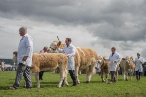 KEITH SHOW 2019 11TH -12TH AUG  IBI KEITH  -446