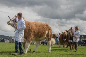 KEITH SHOW 2019 11TH -12TH AUG  IBI KEITH  -447