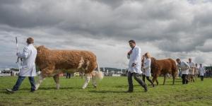 KEITH SHOW 2019 11TH -12TH AUG  IBI KEITH  -448