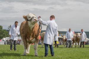 KEITH SHOW 2019 11TH -12TH AUG  IBI KEITH  -450