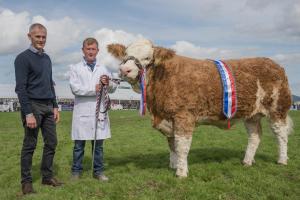 KEITH SHOW 2019 11TH -12TH AUG  IBI KEITH  -452
