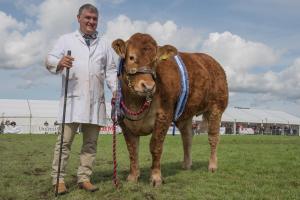 KEITH SHOW 2019 11TH -12TH AUG  IBI KEITH  -454