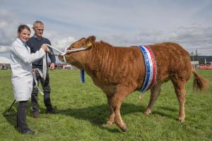 KEITH SHOW 2019 11TH -12TH AUG  IBI KEITH  -455