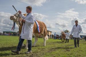 KEITH SHOW 2019 11TH -12TH AUG  IBI KEITH  -456