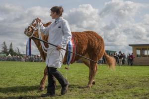 KEITH SHOW 2019 11TH -12TH AUG  IBI KEITH  -457