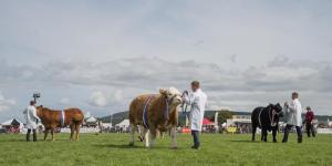 KEITH SHOW 2019 11TH -12TH AUG  IBI KEITH  -459