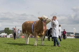 KEITH SHOW 2019 11TH -12TH AUG  IBI KEITH  -460