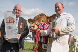 KEITH SHOW 2019 11TH -12TH AUG  IBI KEITH  -476