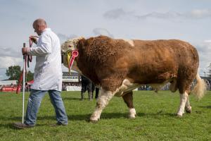 KEITH SHOW 2019 11TH -12TH AUG  IBI KEITH  -477