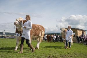 KEITH SHOW 2019 11TH -12TH AUG  IBI KEITH  -480