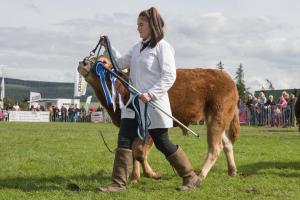 KEITH SHOW 2019 11TH -12TH AUG  IBI KEITH  -482