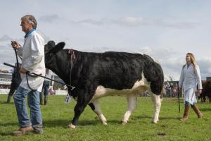 KEITH SHOW 2019 11TH -12TH AUG  IBI KEITH  -483