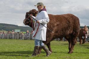 KEITH SHOW 2019 11TH -12TH AUG  IBI KEITH  -485