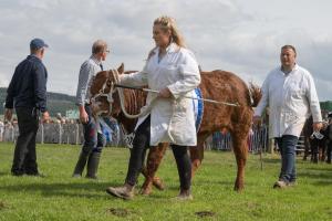 KEITH SHOW 2019 11TH -12TH AUG  IBI KEITH  -486