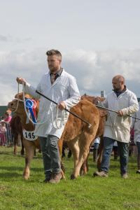 KEITH SHOW 2019 11TH -12TH AUG  IBI KEITH  -487