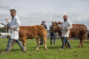KEITH SHOW 2019 11TH -12TH AUG  IBI KEITH  -488