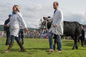 KEITH SHOW 2019 11TH -12TH AUG  IBI KEITH  -489