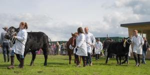 KEITH SHOW 2019 11TH -12TH AUG  IBI KEITH  -490