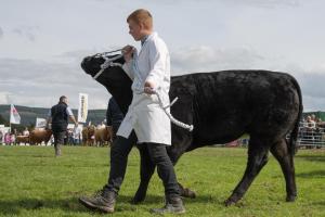 KEITH SHOW 2019 11TH -12TH AUG  IBI KEITH  -491
