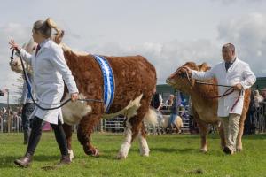 KEITH SHOW 2019 11TH -12TH AUG  IBI KEITH  -492