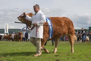 KEITH SHOW 2019 11TH -12TH AUG  IBI KEITH  -493