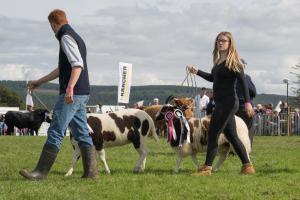 KEITH SHOW 2019 11TH -12TH AUG  IBI KEITH  -494