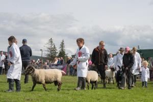 KEITH SHOW 2019 11TH -12TH AUG  IBI KEITH  -495