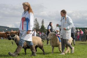 KEITH SHOW 2019 11TH -12TH AUG  IBI KEITH  -497