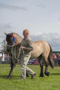 KEITH SHOW 2019 11TH -12TH AUG  IBI KEITH  -503