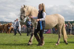 KEITH SHOW 2019 11TH -12TH AUG  IBI KEITH  -504