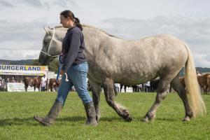 KEITH SHOW 2019 11TH -12TH AUG  IBI KEITH  -505