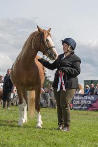 KEITH SHOW 2019 11TH -12TH AUG  IBI KEITH  -506