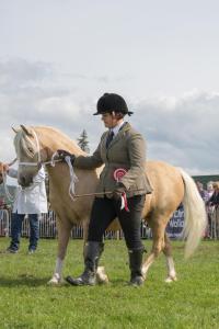 KEITH SHOW 2019 11TH -12TH AUG  IBI KEITH  -507