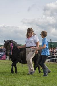 KEITH SHOW 2019 11TH -12TH AUG  IBI KEITH  -509
