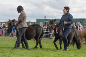 KEITH SHOW 2019 11TH -12TH AUG  IBI KEITH  -510