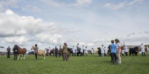 KEITH SHOW 2019 11TH -12TH AUG  IBI KEITH  -511