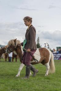 KEITH SHOW 2019 11TH -12TH AUG  IBI KEITH  -513