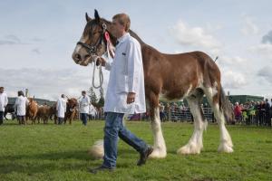 KEITH SHOW 2019 11TH -12TH AUG  IBI KEITH  -519