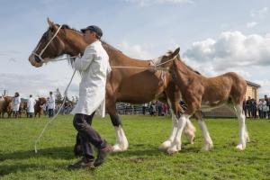 KEITH SHOW 2019 11TH -12TH AUG  IBI KEITH  -520