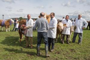 KEITH SHOW 2019 11TH -12TH AUG  IBI KEITH  -521