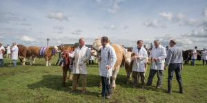 KEITH SHOW 2019 11TH -12TH AUG  IBI KEITH  -522