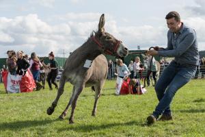 KEITH SHOW 2019 11TH -12TH AUG  IBI KEITH  -541