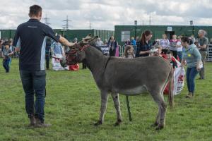 KEITH SHOW 2019 11TH -12TH AUG  IBI KEITH  -552