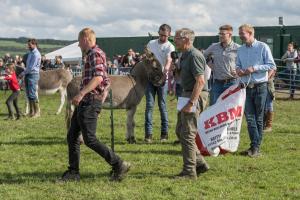 KEITH SHOW 2019 11TH -12TH AUG  IBI KEITH  -574